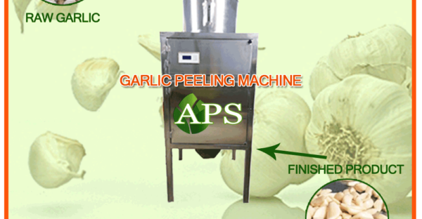 GARLIC PEELING MACHINE HYDERABAD – APS Industries
